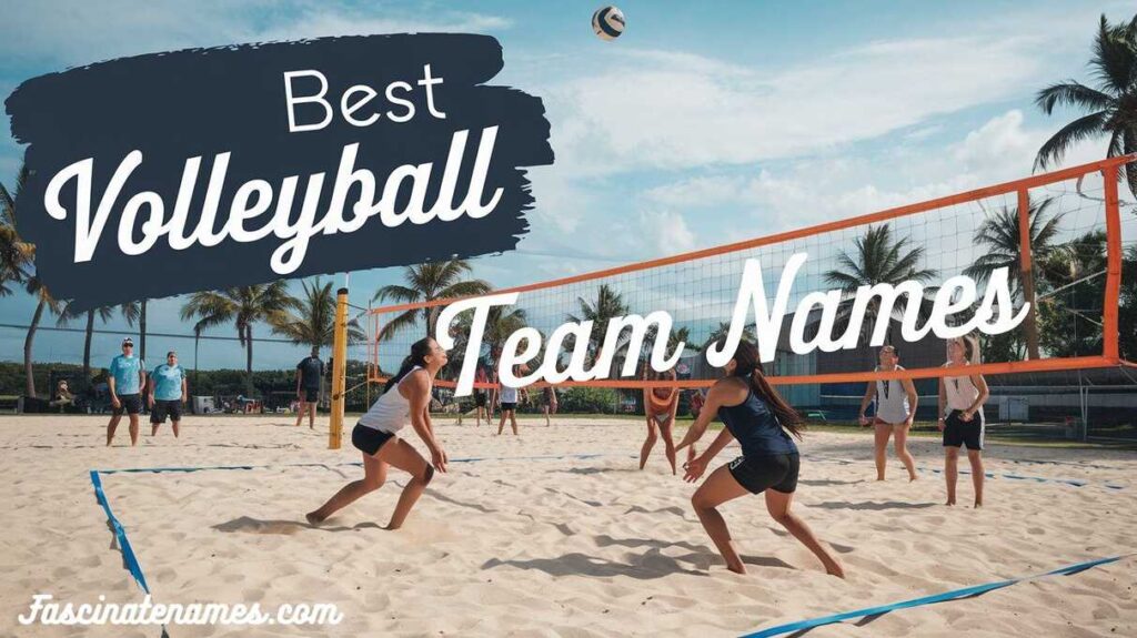 Best Volleyball Team Names