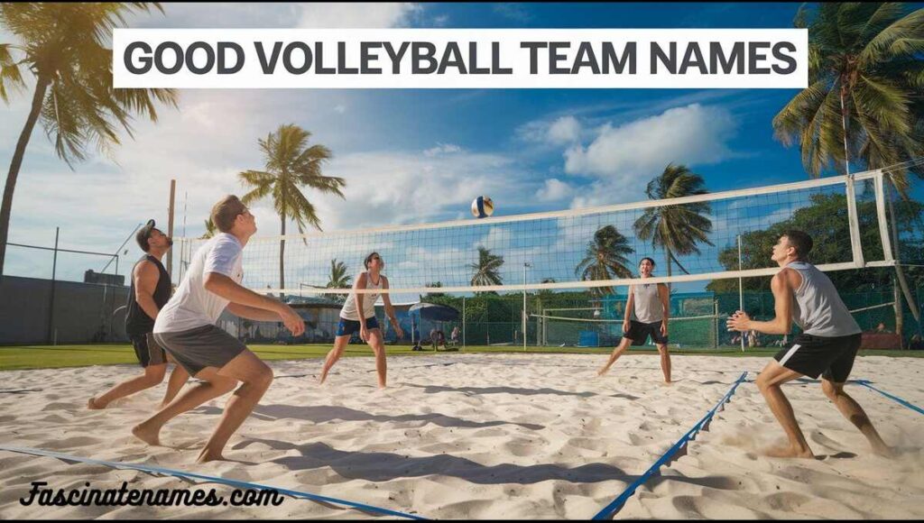 Good Volleyball Team Names
