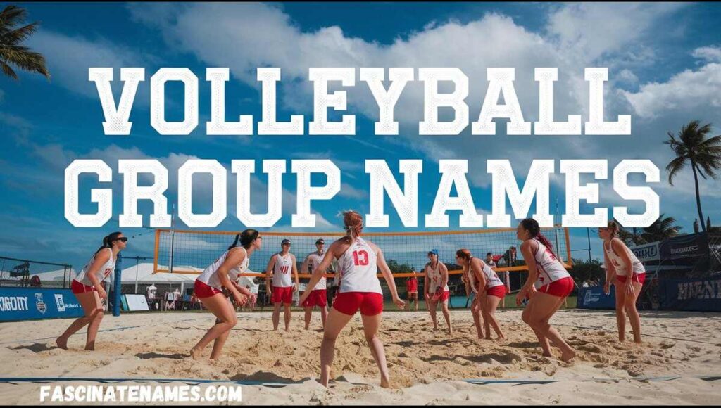 Volleyball Group Names
