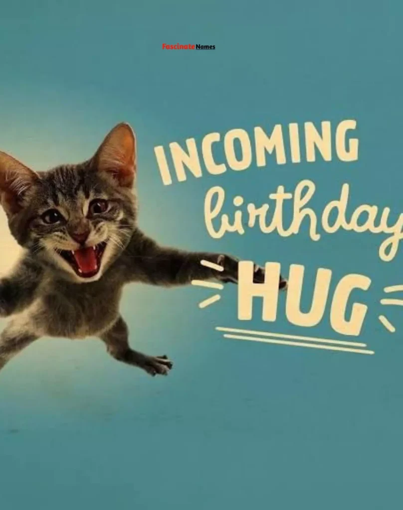 The Best Cute Cat Birthday Cards Online