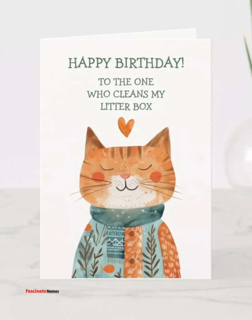 Best Cat Birthday Cards of 2025 – Top Picks