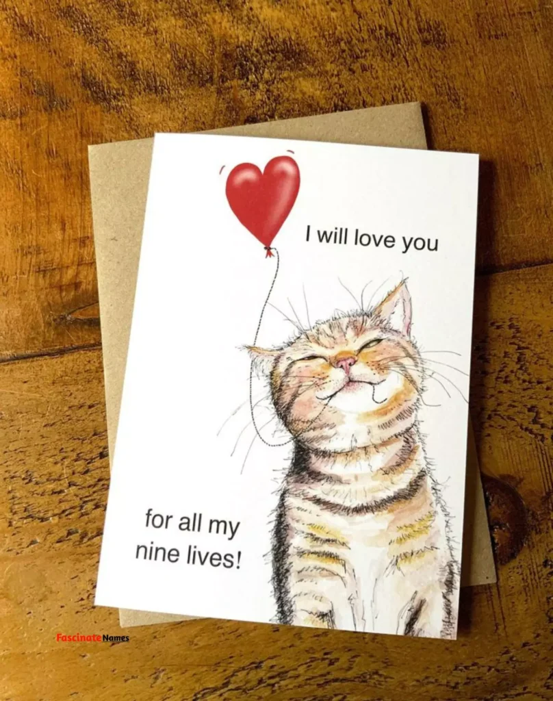 Beautiful Cat Birthday Cards for Every Cat Lover