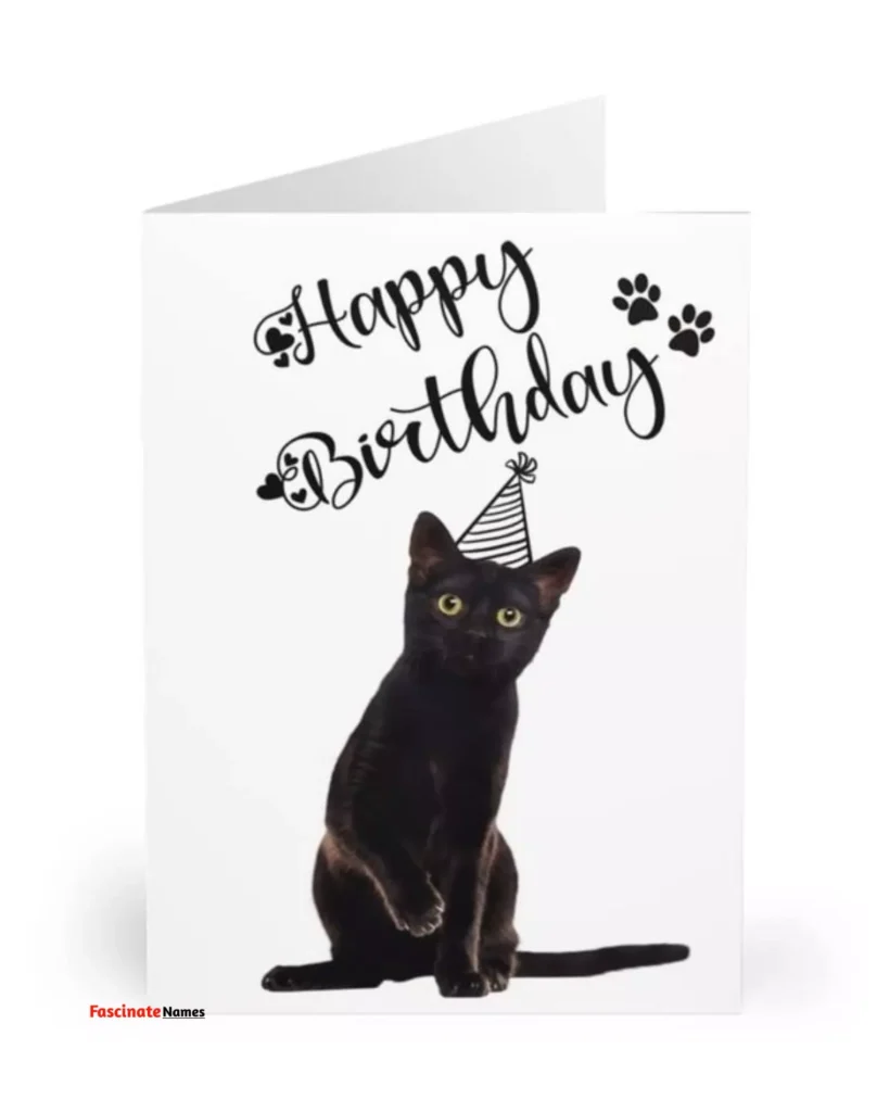 Personalized Cat Birthday Cards in the UK