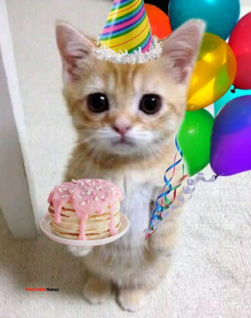 Where to Find Free Cat Birthday Cards