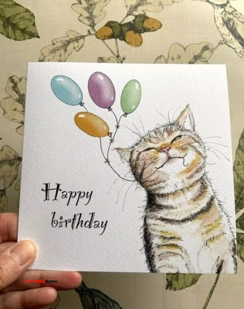 Creative Cat Birthday Card Ideas