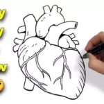 Heart drawing